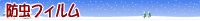 �h���t�B����
