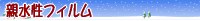 �e�����t�B����