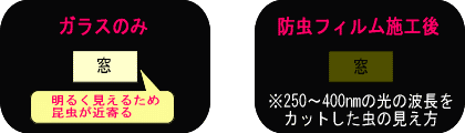 窓からもれる光の見え方