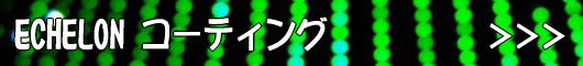 ECHELON �R�[�e�B���O